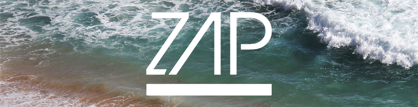 Zap Skimboards - Warehouse Skateboards