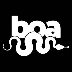 See Skateboard products from Boa Wheels