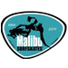 Malibu SurfSkates 