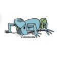 See Skateboard products from Phasecaster Skateboards
