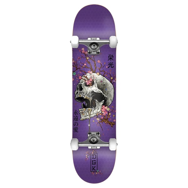 DGK Complete Skateboards