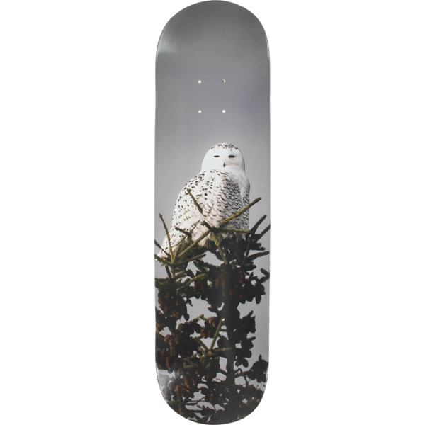 All I Need Skateboards Trembley Snow Owl Skateboard Deck - 8.1" x 32"