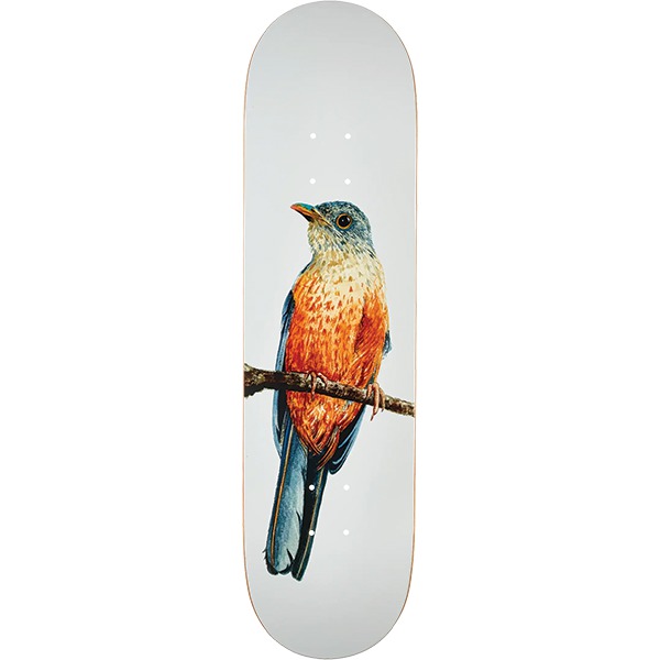 Deathwish Skateboards Yuri Facchini Sabia-Laranjeira Skateboard Deck - 8.12" Deathwish Skateboards Yuri Facchini Sabia-Laranjeira Skateboard Deck - 8.12"