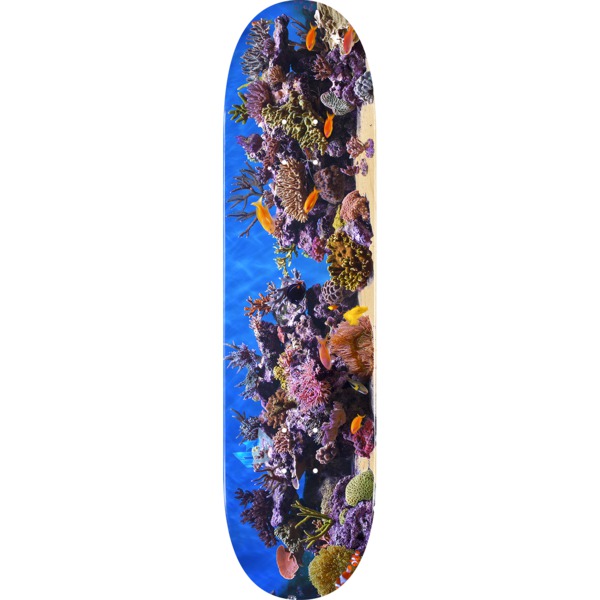 Mini Logo Skateboards Fish Tank Skateboard Deck 242/K-20 - 8" x 31.5"