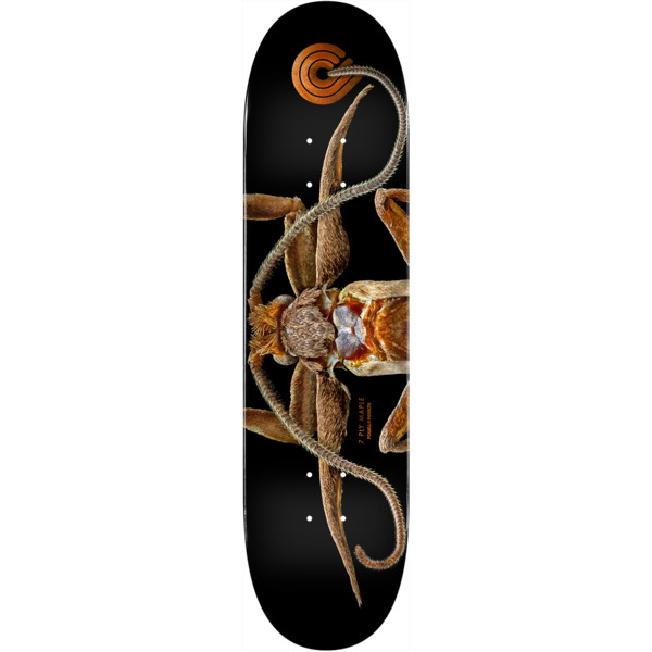 Powell Peralta Biss Marion Moth Skateboard Deck - 8.25" x 31.95"