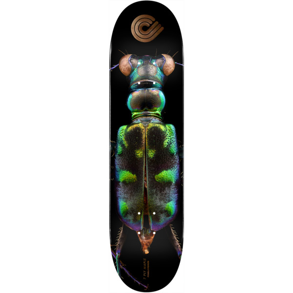 Powell Peralta Biss Tiger Beetle Skateboard Deck - 8.25" x 31.95"