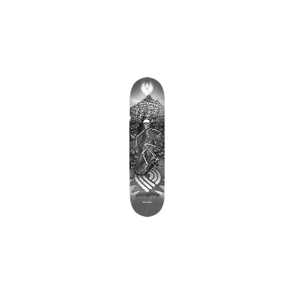 Powell Peralta JM Duran Slidewinder 5 Silver Foil FLIGHT Skateboard Deck - 8.8" Powell Peralta JM Duran Slidewinder 5 Silver Foil FLIGHT Skateboard Deck - 8.8"