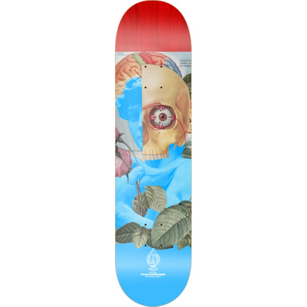 Pylon Skateboards Beauty Skateboard Deck - 8.62" x 32"