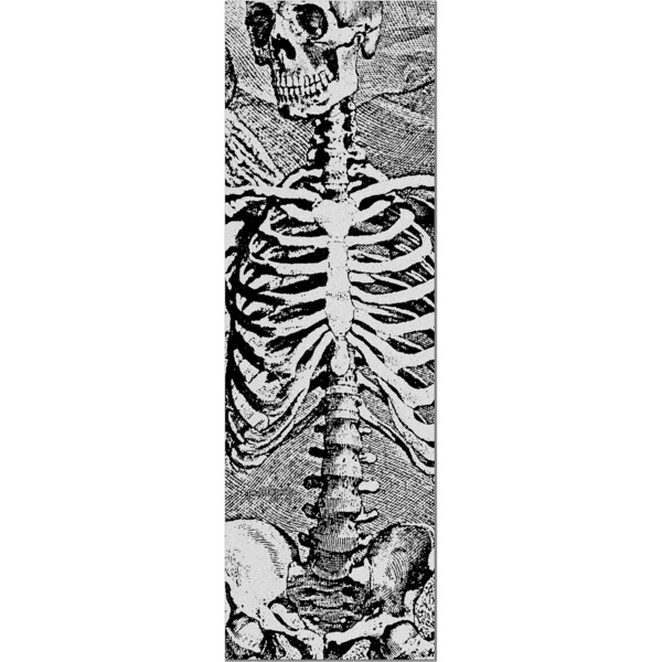 Powell Peralta SAS Skeleton Clear Griptape - 10.5" x 33"