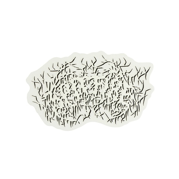 Spitfire Wheels Medium Deathmask Skate Sticker