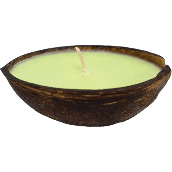 Bubble Gum Surf Wax Coconut Half Shell Sea Salt Scented Surf Wax Candle