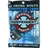 Independent Truck Company Cross Philips Head with Tool Black / Blue Skateboard Hardware Set - 1"