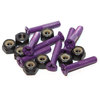 Standard Phillips Head Purple Drink Skateboard Hardware Set - 1"