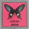 Cortina Bearing Co Lil Dre Signature Skateboard Bearings