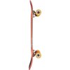 Globe Skateboards Aperture Cult of Freedom / Portal Cruiser Complete Skateboard - 9.5" x 31"