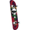 Powell Peralta Skull and Snake Red / Navy Mid Complete Skateboards - 7.5" x 31.08"