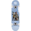 Push Skateboards Skate Life Lebanon Blue Complete Skateboard - 8.25"