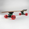 Sector 9 Wavepark Party Cruiser Complete Skateboard Sidewinder - 8.75" x 30.25"