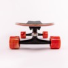 Sector 9 Wavepark Cycles Cruiser Complete Skateboard - 8.75" x 30.25"