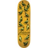 Anti Hero Skateboards Chris Pfanner Dawn Of The Pigeon Skateboard Deck - 8.25"