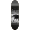 Antiz Skateboards Dave Van Laere - Dog Skateboard Deck - 8" x 31.44"