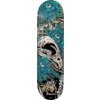 Birdhouse Skateboards Tony Hawk Tillbrook Skateboard Deck - 8.25" x 31.75"