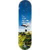 Braille Skateboards Soaring Stories Skateboard Deck - 8.75" x 32"