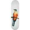 Deathwish Skateboards Yuri Facchini Sabia-Laranjeira Skateboard Deck - 8.12"