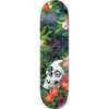 Deathwish Skateboards Neen Williams We Fell Into It Skateboard Deck - 8.5"