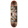 DGK Skateboards Jack Curtin In The Fog Skateboard Deck - 8"