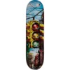 DGK Skateboards John Shanahan Signals Skateboard Deck - 7.9" x 31.5" - Complete Skateboard Bundle