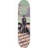Snake Farm Skateboards Danny Sanchez Tribute Skateboard Deck - 8" x 32" - Complete Skateboard Bundle