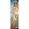 Pvblic Domain Griptape Birth of Venus Griptape - 9" x 33"
