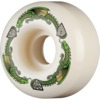 Powell Peralta Dragon Formula V1 Green / White Skateboard Wheels - 52mm 88a (Set of 4)