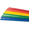 Enjoi Skateboards 10 Pack (5 Pairs) Spectrum Tummy Sticks Assorted Colors Skateboard Board Rails