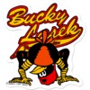 Powell Peralta Bucky Lasek Stadium Skate Sticker