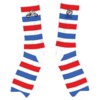 Foundation Skateboards Moto Red / White / Blue Crew Socks - One size fits most