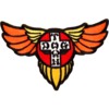 Dogtown Skateboards 4" x 2.25" Wings Patch