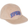 Rip N Dip Summer Friends Tan 6 Panel Corduroy Hat - Adjustable