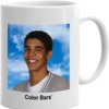 Color Bars Skateboards Degrassi Yearbook White Coffee Mug