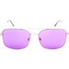 Happy Hour Skateboards Beagle Gold / Purple Sunglasses